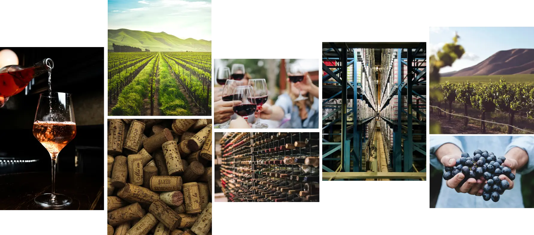 about wine distribution